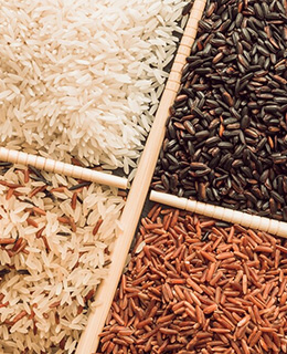 Grains & Seed Storage