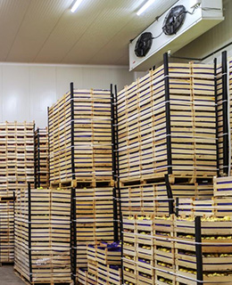 Cold Storage & Warehousing