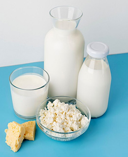 Dairy - Curd, Cheese, Butter, Milk, Paneer Storage