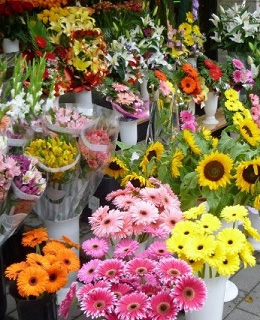 Floriculture Storage